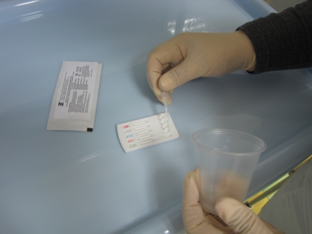 ������������ � ���� ������������, �� ������